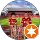 Des Lees profile picture