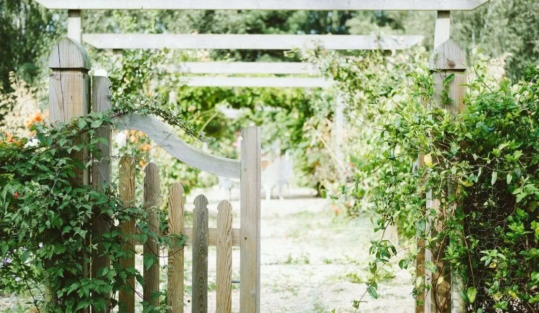 How to secure your garden this summer